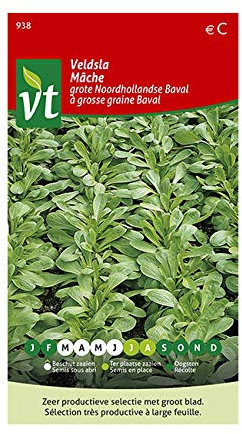 Mâche à grosse graine Baval Graines - Larges feuilles, riche en minéraux et vitamine
