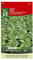 Semillas de canónigos Baval Large Seed - Hojas grandes, ricas en minerales y vitaminas