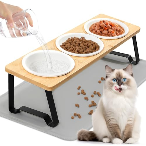 Eyein Raised Cat Bowls, 15°Tilted Elevated Cat Food Bowl with 3 Ceramic Dishes, Bamboo Stand and Silicone Mat Feeding Station, Cat Food and Water Bowl Easy to Assemble & Clean for Indoor Cat Dog Puppy