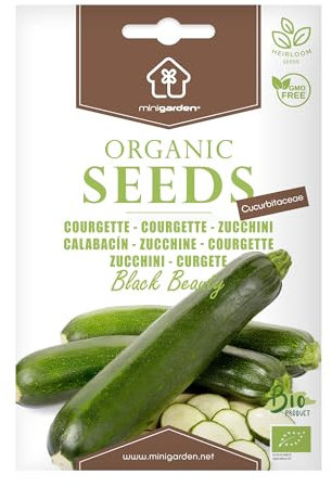 Courgette Black Beauty, Graines certifiées biologiques prêt à Pousser Minigarden, 100% Naturelles sans Propagateurs Chimiques ni Génie Génétique, inclut entre 6 et 8 graines