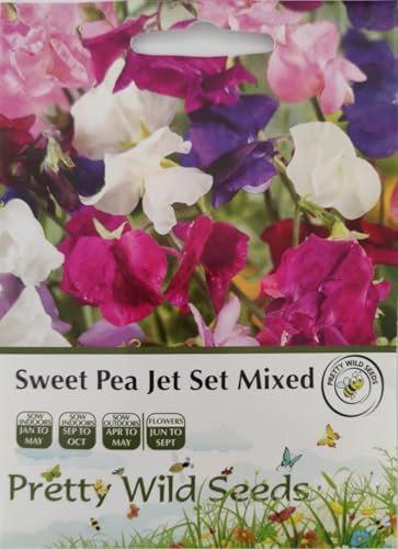 Sweet Pea Jet Set Mixed in Pictorial Packet- 20 Seeds