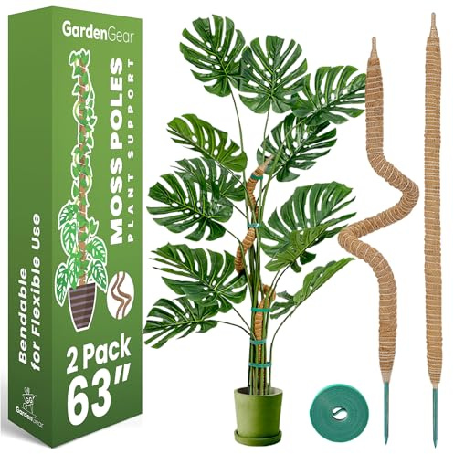 2-pack 63 tum mossstång – Monstera växtstöd – böjbar växtspaljé mossstång för växter monstera – mossstänger för klätterväxter – växtpinnar stöder växtpinnar för inomhusväxter krukväxter