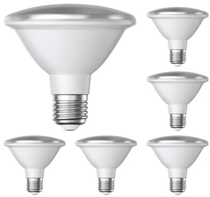 ledscom.de 6 Stück E27 LED Leuchtmittel, PAR30 kurzer Hals, warmweiß (2700 K), 12,9 W, 994lm, 42°, Reflektorspiegel (silber)