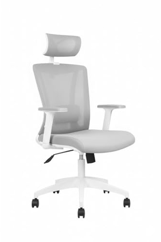 Genérico NIHM Workplace Silla de Dirección Ergonómica Malla | Cabecero Regulable, Lumbar Ajustable, Reclinable 90°-130°, Certificación EN 1335 | Ejecutiva Oficina Blanca