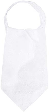 WANYING mäns slipsscarf ascotslips halsduk Cravat Ties enkel chic för gentleman – Paisley, M02 dekorativt mönster vit, En Storlek