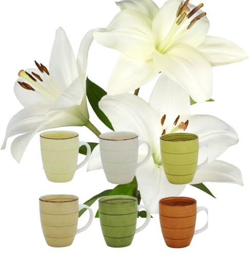 6er Set Kaffeebecher Tassen 350 ml x 6 aus Porzellan Kaffee Becher Tasse Uni/Bunt Kaffeetassen-Kaffeebecher mit Henkel Tassen Set Kaffeetassen Moderne Keramik Tasse