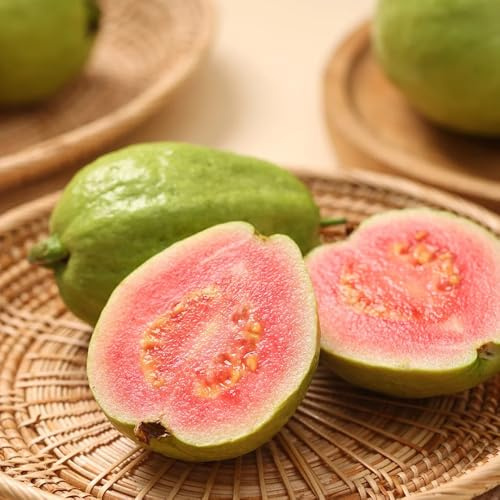 semillas de guayaba, orgánicas, variedades tradicionales, resistentes 30pcs