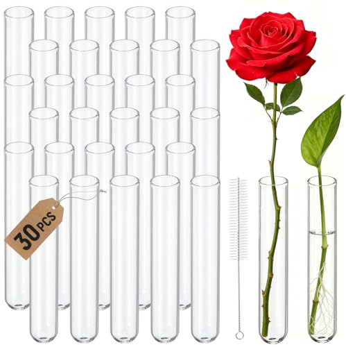 GothicBride Lot de 30 tubes à essai en verre avec brosse - 20 x 120 mm