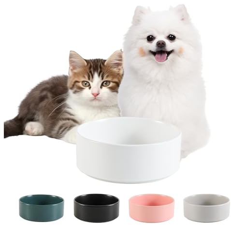 Céramique Gamelle Chien Antidérapante - Bol Chien Croquette pour Petit - Gamelle pour Chat pour Eau et Croquette - Bol Céramique Antiéclaboussure - 13 cm - 140 g / 320 ML - Blanc