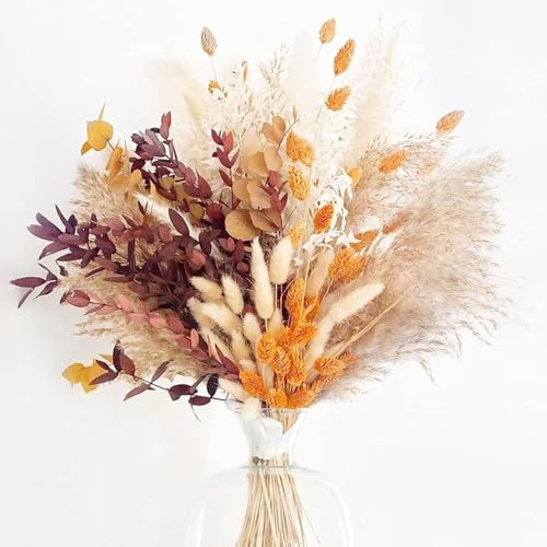 64 Pzs Pampas Secas Decoracion, Pampas Secas Decoracion, Hierba de Pampa Esponjosas, Ramo de Flores Secas Naturales, Ramo de Flores Secas, Hierba de Pampas Natural para Decoracion Boho Fiestas Bodas
