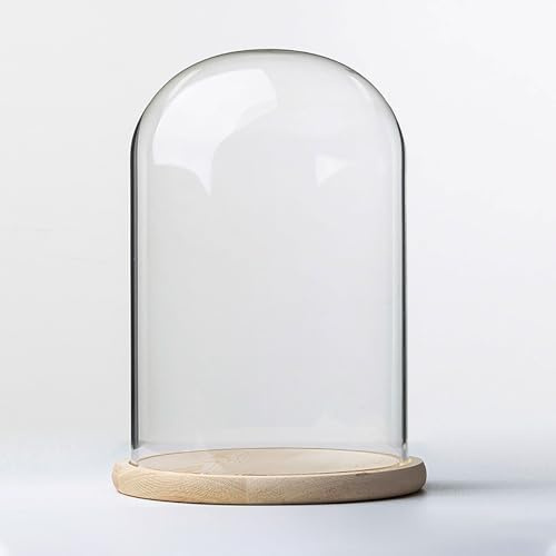 Klar glasklocka, 20 cm glasklochekupol med träbas for växtprydnader, figurer i flera storlekar(20 * 25cm)