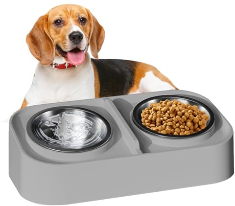 Set di ciotole per gatti – Set di ciotole per cibo e acqua, a prova di perdite, base antiscivolo per mangiare, bere, cuccioli, viaggi, città, soggiorno appartamento