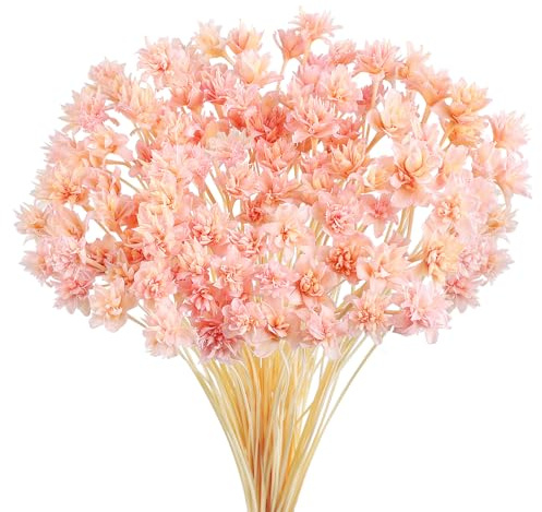 Larber 100 Pezzi Fiori Secchi Brasiliani Fiori Mini Fiori Secchi Fiori Naturali Gypsophila Casa Piccola Stella Decorativi Brasiliani Disposizione Floreale Fiore Bouquet Confezione Regalo (Rosa)