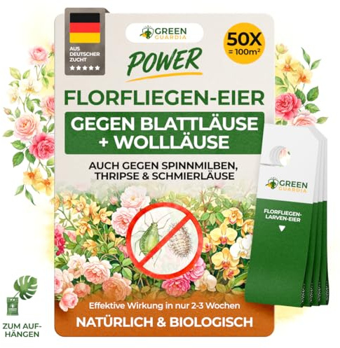 GREEN GUARDIA Power - 50 larve di mosche per piante, contro afidi, pidocchi, tripsi e acari dei ragni, lotta biologica dei parassiti per piante da appartamento e piante ornamentali