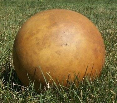 5 boulets de canon Semi di zucchina RGS165 (Lagenaria Siceraria)