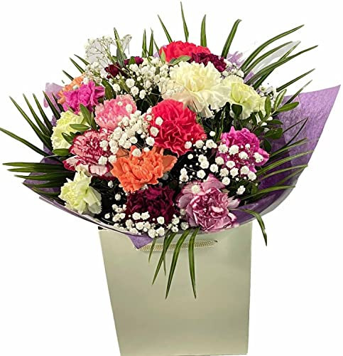 Life Is Bloom Fresh Flower Bouquet Of Mixed Carnations, Gypsophila in Gift Bag – Celebrating Seasonal Floral Arrangement