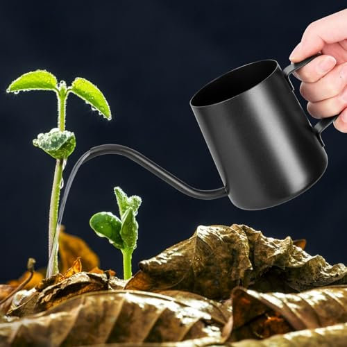 YHNDECO 250ML Schwarz Gießkanne Klein Zimmerpflanzen, Mini Gießkanne, Edelstahl Langer Auslauf Giesskanne, Garten Gießkanne für Zimmerpflanzen Sukkulenten