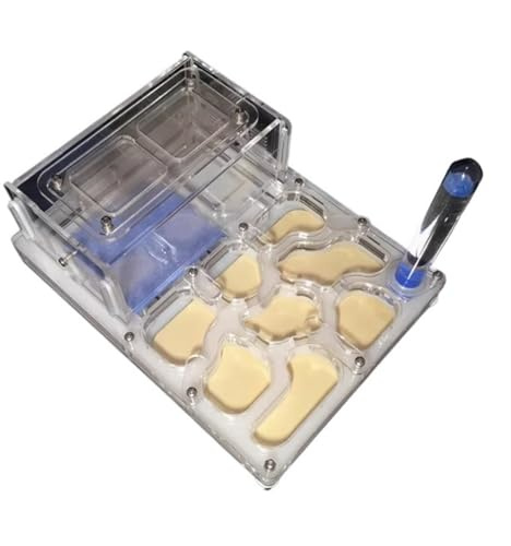 AZHKJKZH Formica Nido Nido di Formicaio, Fattoria Casette per Formiche(White)