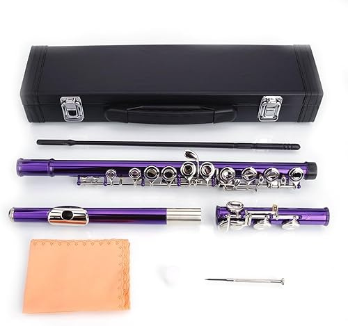 Flöjt, professionella C-flöjter med stängt hål, harmoni orkesterflöjt, C 16 tangenter stängd hålflöjt, musikflöjt nickel för orkester, med fodral, musikinstrument för skolband