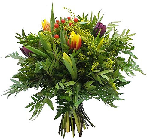 Blumenstrauß Frühlingsbote – Frische Tulpen & bunte Blumen inkl. kostenloser Glückwunschkarte | Perfekt für Frühling & Geschenk