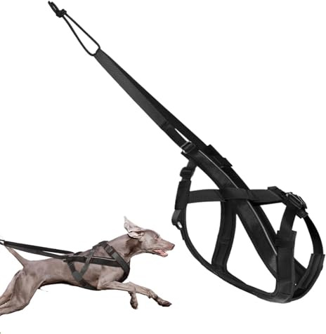 Arnés para Perros para Tirar - Arnés Reflectante para Correr | Cuerda de tracción Ajustable para Entrenamiento de Perros en Trineo | Paseos, Correr, Actividades al Aire
