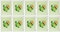 10x Collegeblock Kollegblock A4 kariert mit Doppelrand 80 Blatt 90g/qm Lineatur 28 Premium Marke ADINA (Fröhlicher Papagai)