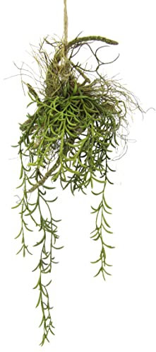 Tillandsia Hänger auf Ast Künstlicher Moos Hänger Hängeampel Grünpflanze Kunstpflanze Pflanze Zimmerpflanze Seidenblumen Dekopflanze Deko Isländischer Kunstmoos Hängende Girlande Busch Sträucher