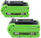 ZEERISA 8.0Ah 29462 29472 Lithium 40V Battery Replacement Compatible with GREENWORKS 40Volt 29472 29462 2901319 24282 (8.0Ah 2 Pack)