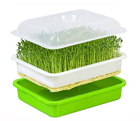 Germogliatore Per Semi,Vassoi Per La Germinazione,Germogliatore Con Coperchio,Kit Per La Germinazione,Semenzaio Germinazione,Germogli Facili E Freschi a Casa,Strumento Di Coltivazione in Mini Serra