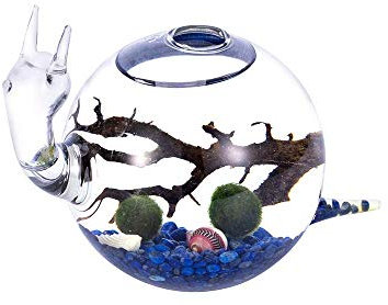 Kit d'aquarium soufflé Kit de Terrarium Globe Aquatique, Vase en Verre, Boules de Mousse Vivante, Galets, Coquillages et Ventilateur de Bureau (Style A)
