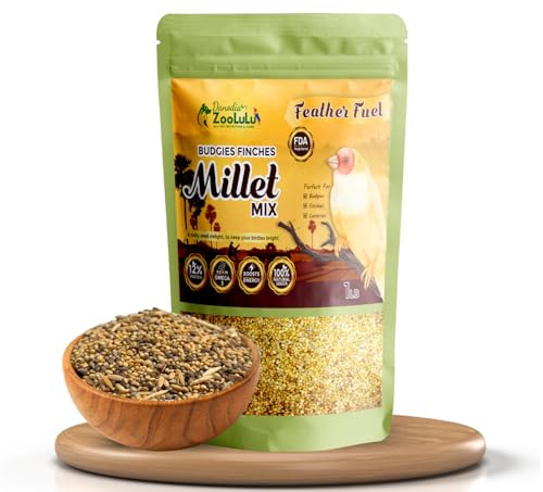Danodia's Zoolulu Budgies & Finches Millet Mix (450g /1lbs) | Bird Seed Blend for Budgies, Finches & Canaries | Daily Healthy Nutrition