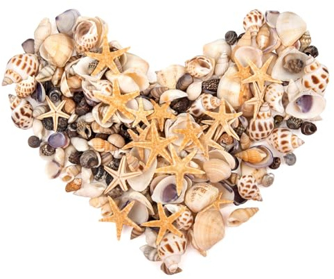 SKOOLOVE 450PCS Small Sea Shells and Mini Starfish Mixed Natural Seashells Bulk for Crafs Beach Painting Candle Making Fish Tank and Vase Fillers (180g)
