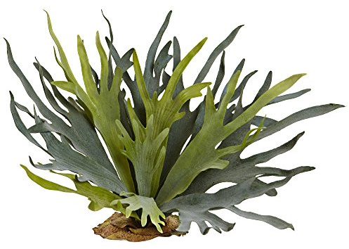 Nearly Natural 21in. Staghorn Fern (Set of 2)