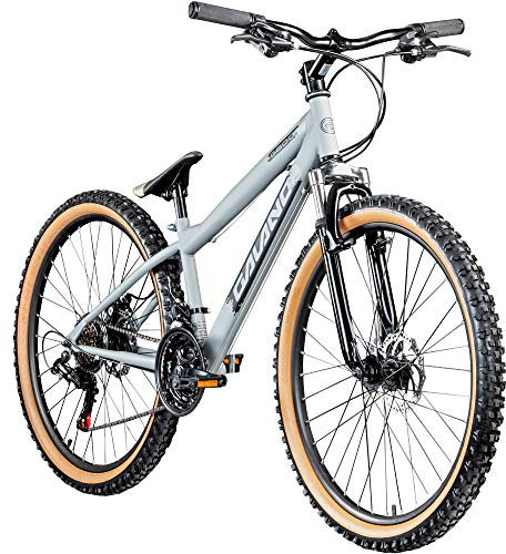 Galano Dirtbike 26 Zoll MTB G600 Mountainbike Fahrrad 18 Gang Dirt Bike Rad (Silbergrau/schwarz, 33 cm)