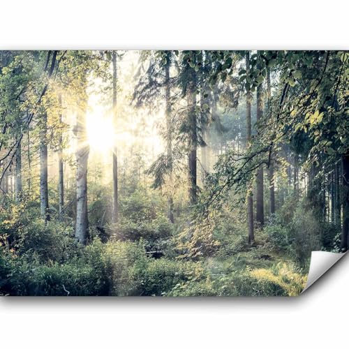 murando Fototapete Premium-Vlies Wald 350x256cm Foto Tapete Schlafzimmer Wohnzimmer Vliestapete XXL Wandtapete Motivtapeten Bildtapete 3d Effekt Wand Dekoration Flur Wald Landschaft Natur Grün Bäume
