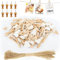 Hengxinc 129PCS Mini Wooden Heart Pegs - 2.4cm Natural Small White Photo Clips With 10m String for Wall Display, Craft, Weddings & Party