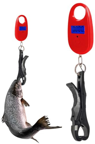 För digital fisk - 24 cm bärbart fiske, elektronisk manuell, mätanordning med precisionssensor, LCD-display | för högexakt fisk