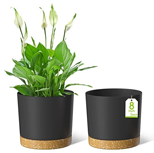 ZMTECH Maceta De 20 cm, Maceta De Plástico con Agujeros De Drenaje para Plantas Suculentas, Hierbas, Orquídeas, Menta y Otras Plantas De Jardín (Verde, Set De 2)