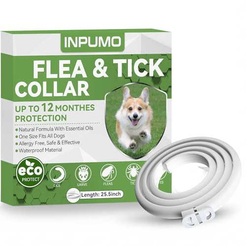 Collier Anti Puces pour Chien, Réglable Collier Antiparasitaire Chien 12 Mois, Naturel Imperméable Élimine Puces, Tiques, Poux, Essentielles 100% Naturelles 1pcs