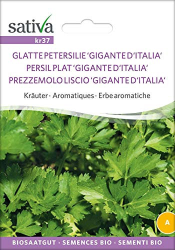 Sativa Rheinau kr37 Gigante D'Italia (Glatte Peters.) (Bio-Petersiliensamen)
