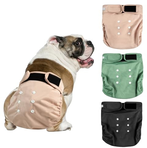 Langsprit Frenchie Female Dog Diapers No Tail Hole,Reusable Puppy French Bulldog Diapers Female for Period Heat,Washable Small Medium Large Size（Large）