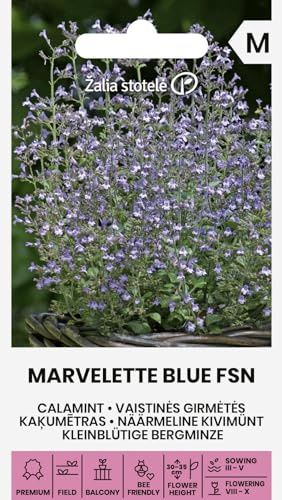 Zalia stotele | Menta di montagna - MARVELETTE BLUE Sementi di fiori | Perenne compatta fiori blu | Per zone soleggiate | Semi ornamentali | 1 bustina