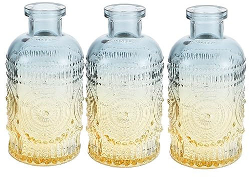Alipis 3 Piezas Jarrones Vintage de Vidrio Transparente con Floreros Hidropónicos para Decoración de Escritorio Hogar Oficina y Arreglos