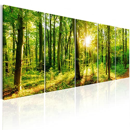 B&D XXL Acrylglasbild Wald 200x80 cm 5 Teilig Wandbild auf Acryl Glasbilder Kunstdruck Moderne Acrylglas Platte Wanddekoration Geschenke Heimdekoration Glasbild Landschaften Natur Baum c-B-0184-k-m