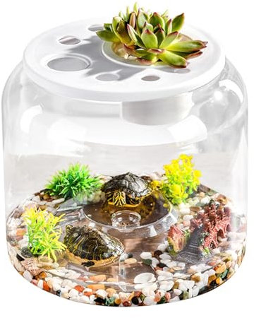 Habitat per Tartarughe - Acquario per Tartarughe Trasparente con Coperchio - Recinto per Terrario con Copertura Rimovibile