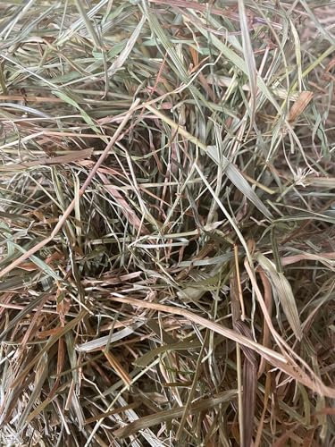 Heu Natur Classic für Kaninchen & Meerschweinchen (15kg)