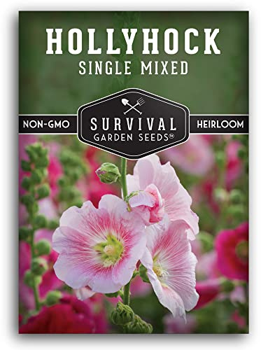 Single Mixed Hollyhock Seeds for Planting - Plant & Grow Colorful Tall Spikes of Flowers in Your Home Vegetable Garden - Non-GMO Heirloom Variety - Survival Garden Seeds (1 Pack)