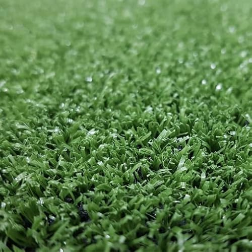 Mugar- Cesped Artificial 7 mm para terrazas y Jardines en Diferentes Medidas para Jardines, terrazas, Mascotas, terrarios, Stand (Rollo 1x3m)