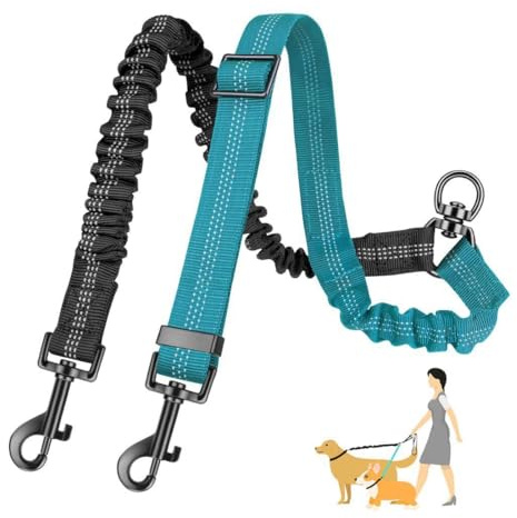 OUDQFCJ Correa Doble para Perros, Sin Enredos, 360° Rotatable, Reflectante, Doble Divisor de Correa para Perro, con Dos Asas Acolchadas, Multiposicion Perro, para pasear a 2 Perros(Negro+Azul)