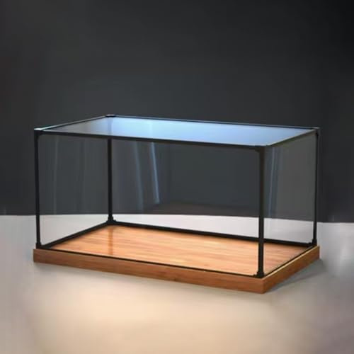 Vitrine pour Collection Boîtes en Acrylique Transparentes pour L'affichage D'objets de Collection, Boîte de Rangement en Cube Anti-poussière avec Base en Bois, Boîte Transparente Empilable(20x10x10cm(